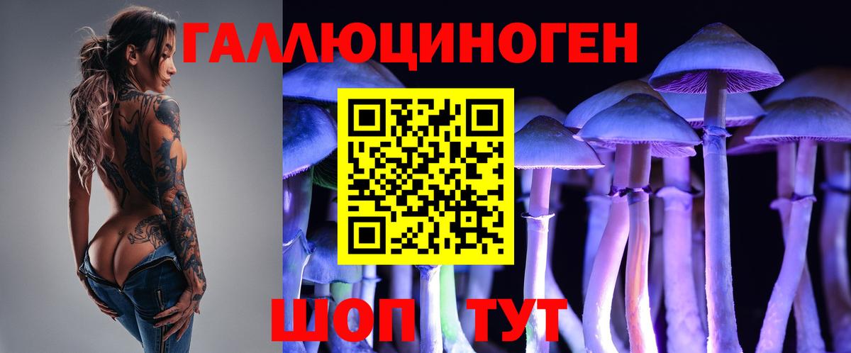 Аксай  Псилоцибиновые грибы Cubensis  Вход с VPN  Галлюциногенные грибы Psilocybine cubensis 